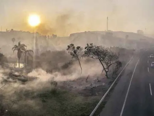Arde norte de BC; mueren 4 personas; registran más de 100 incendios