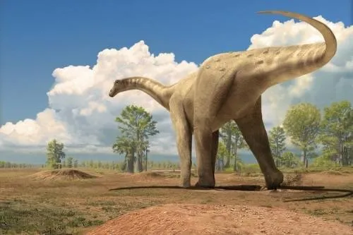 Hallan en Argentina restos de una nueva especie de dinosaurio saurópodo