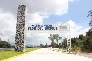 Ex funcionario marinista dio permiso a visitantes de Flor del Bosque para cazar: Rincón