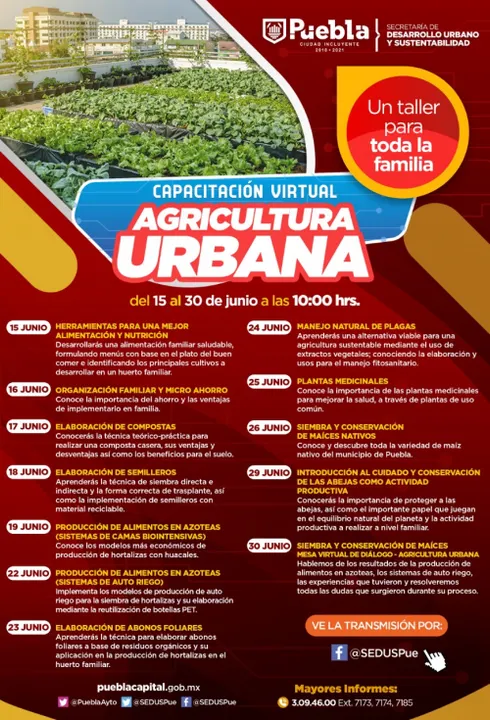 Gobierno de la Ciudad impulsa autosuficiencia alimentaria en la capital