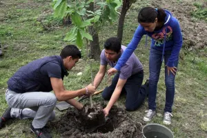 Comuna reforesta con 2 mil árboles al Parque Jagüey, de Agua Santa