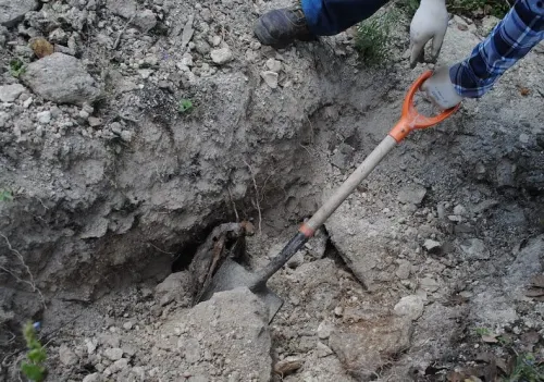 Hallan 3 cuerpos en una fosa clandestina en Veracruz