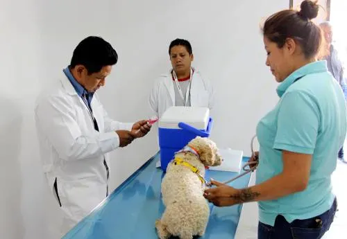 Inaugura Ayuntamiento de Cuautlancingo Unidad de Atención Animal