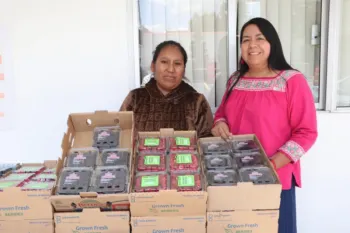 Promueve gobierno de Puebla consumo local de frambuesas y zarzamoras