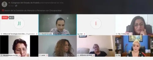 Aprueban en Comisiones reformas para evitar la discriminación de personas con discapacidad auditiva