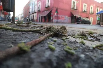 Tras intensas lluvias, el Ayuntamiento de Puebla atendió 40 eventos