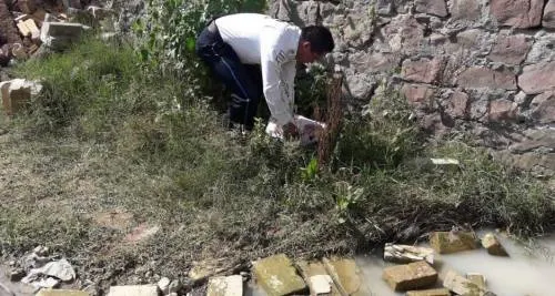 Abandonan en terreno baldío de Chachapa a recién nacida