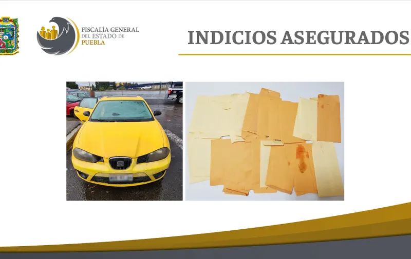 Imagen del artículo