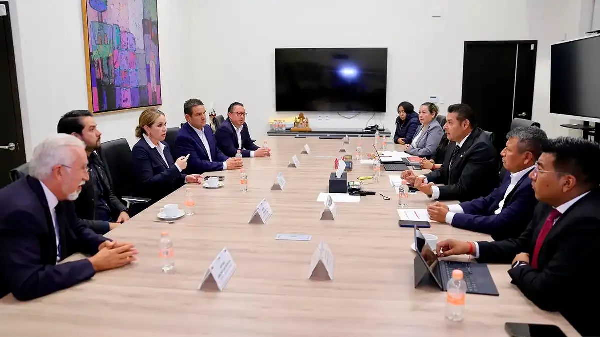 Reunion Seguridad Ip Gobierno