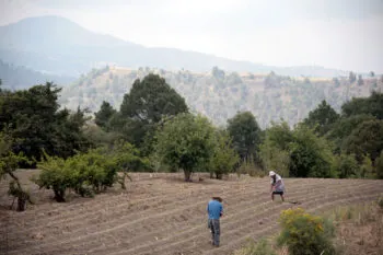 Descarta Sader cobro de piso a productores del campo en Puebla