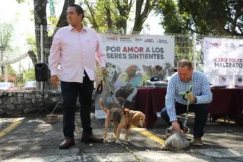 Fomentan Medio Ambiente y Bienestar Animal la adopción responsable