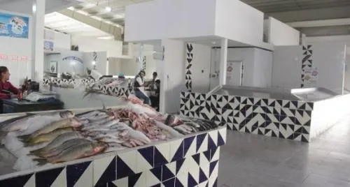 Capacidad de Mercado de Pescados y Mariscos apenas llega al 33% de su capacidad