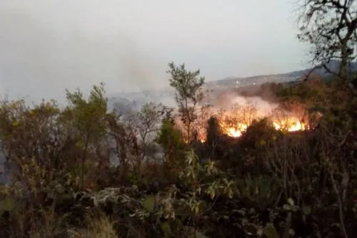 Se registran dos incendios en la CDMX; uno en Tlalpan y otro en GAM