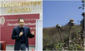 Insensatez que México sea 4 productor de amapola y no se utilice en fines médicos: Gil Zuarth