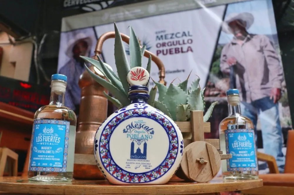 Expo mezcal