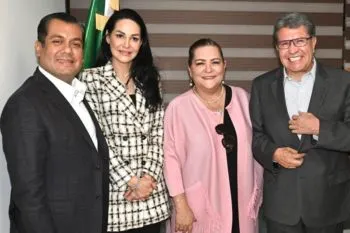 Taddei y Monreal discuten el presupuesto del INE para la elección judicial