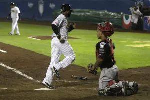 Pericos en busca de la corona en patio ajeno