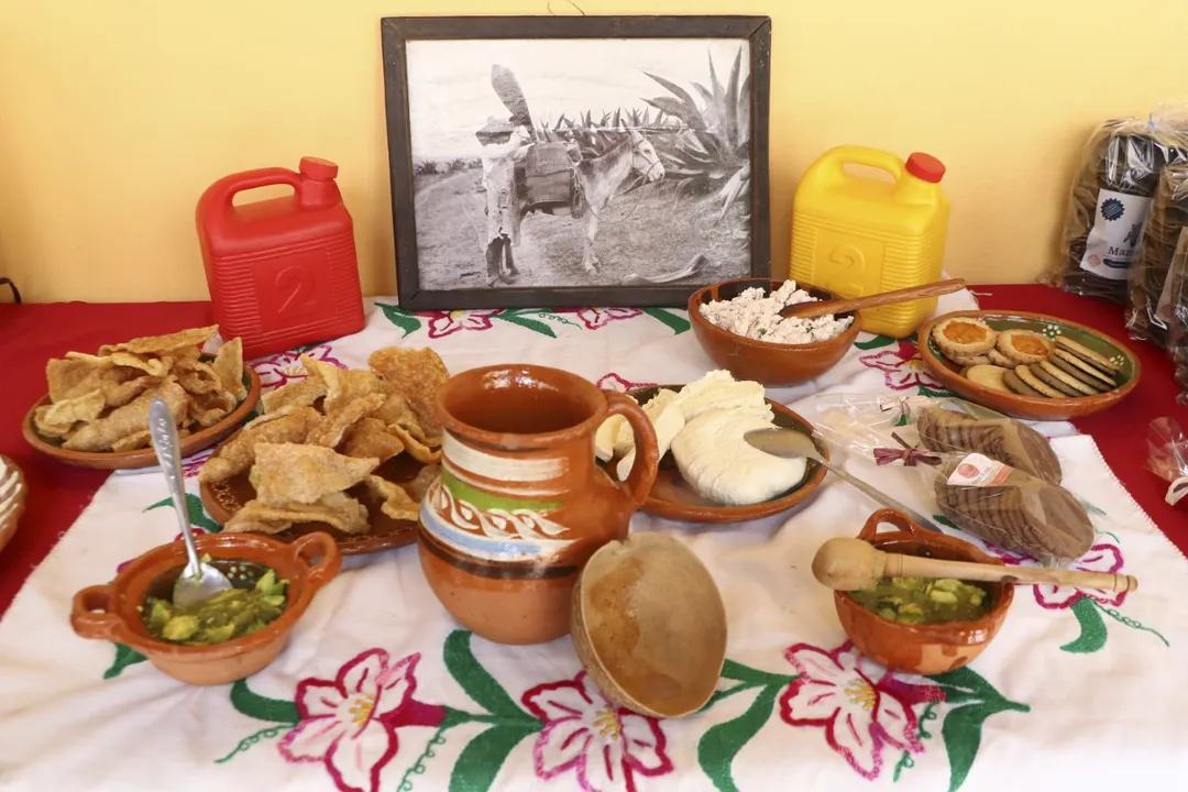 Feria Del Pulque Ozolco1
