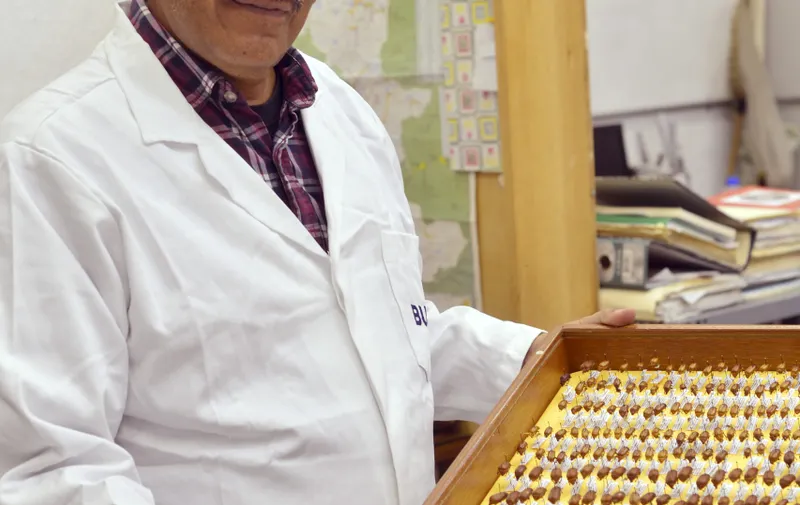 Imagen del artículo