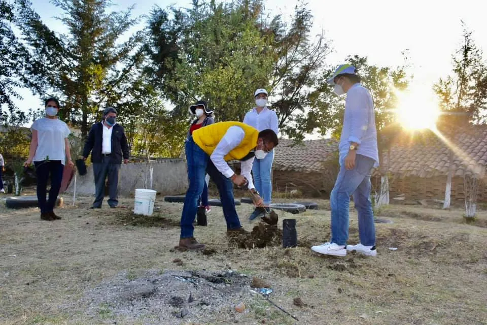 Inicia Beto Gil jornada de reforestación en Amozoc
