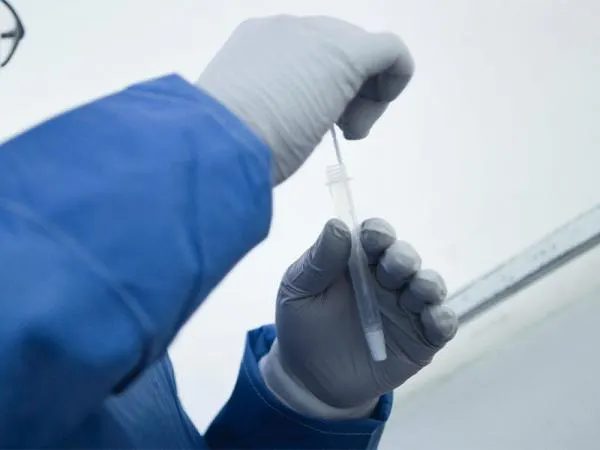 Dengue Analisis