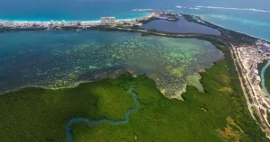 Un hermoso acuario de México peligra