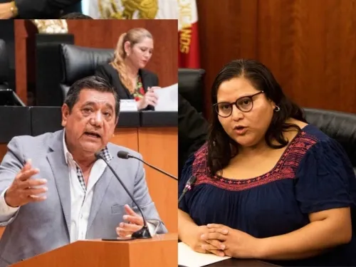 Da Senado licencia a Salgado Macedonio y a Citlalli Hernández