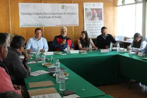 Puebla con amplias posibilidades de incrementar exportaciones de hortalizas