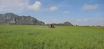 Reconoce el INIFAP economía circular de Altosano-Granjas Carroll para recuperar suelos agrícolas