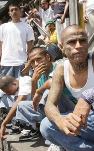 Localizan que zetas entrenan a pandilleros de la Mara Salvatrucha