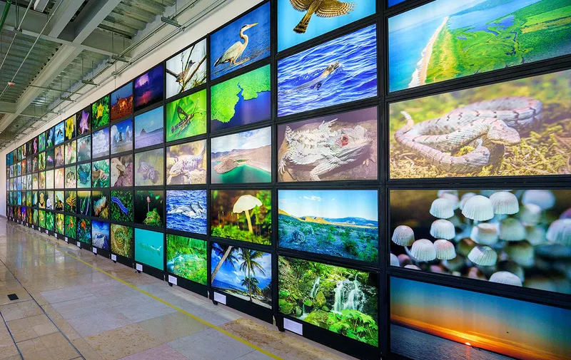 claudia-sheinbaum-barco-utopia-iztapalapa