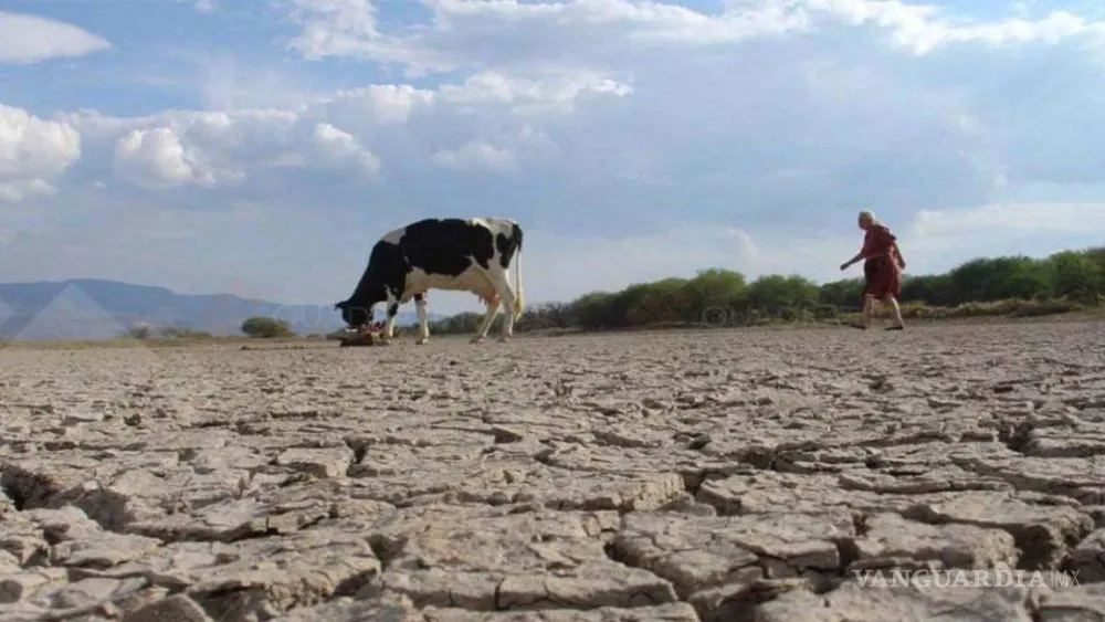 Emergencia por sequía en México, declara la Conagua