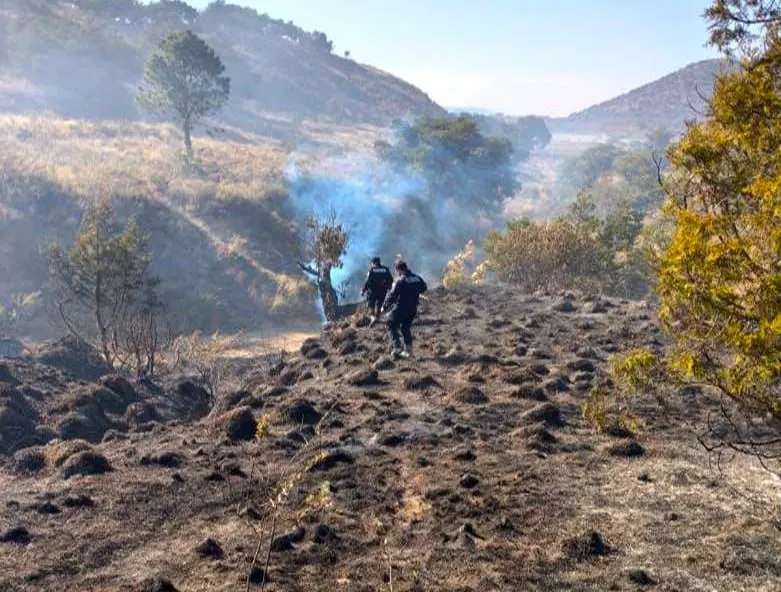 Incendio Forestal Cerro Ciudad Serdan