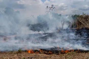 Aprueba Congreso acuerdo para implementar acciones de prevención y combate de incendios forestales