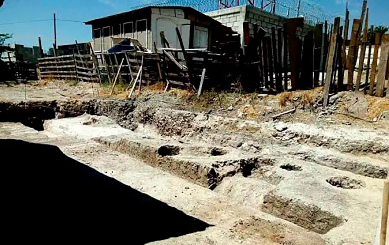 Imagen del artículo