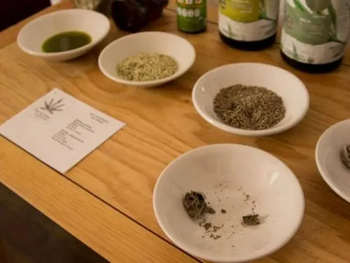 Corte ampara a tres personas para adquirir semillas de marihuana