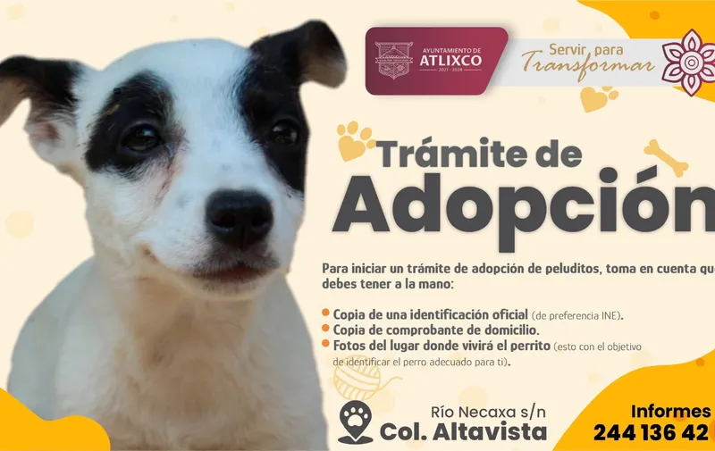 Adógtame