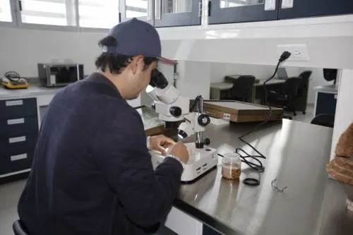 Presenta BUAP proyecto de Ecocampus en Smart City como ejemplo sustentable