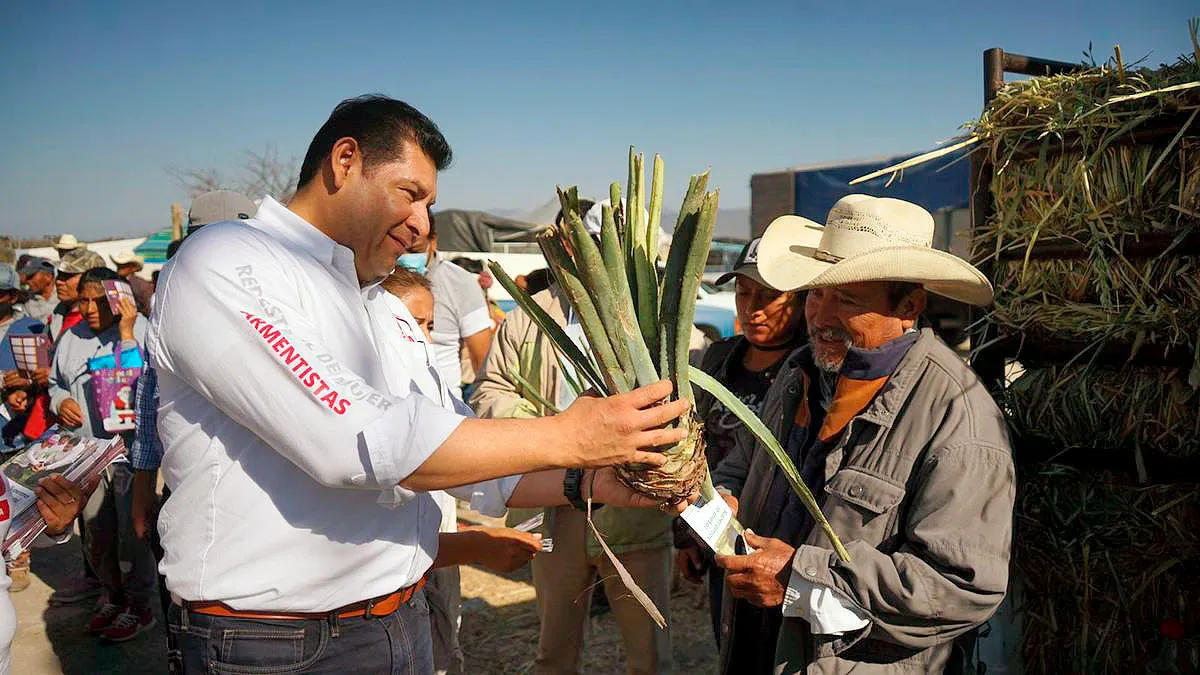 Alejandro Armenta Tepexi Plantas Maguey