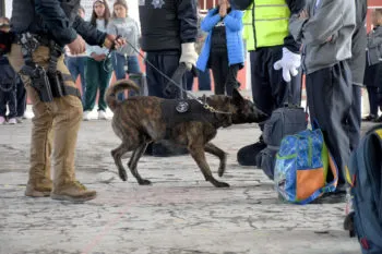 SSC Puebla mantiene proximidad y refuerza la seguridad en la BUAP