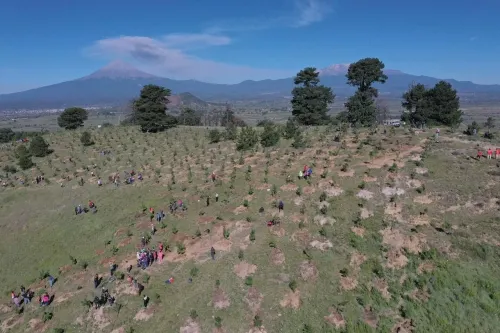 Trabaja gobierno de San Pedro Cholula para que el cerro Zapotecas sea receptor de agua: LAAL