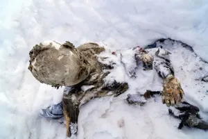 Conanp, en contra de bajar momias del Pico de Orizaba