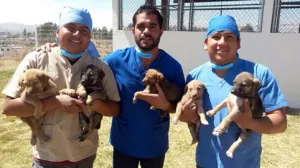 Ayuntamiento realizará Primera Jornada de Adopción Canina