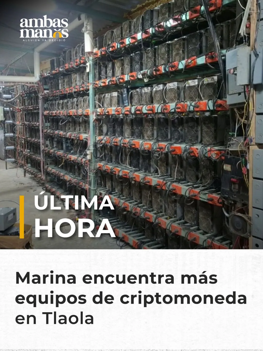 marina-granjas-criptomonedas-tlaola