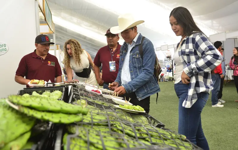 buap-15-expo-horticola