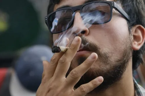 CRV a favor de no criminalizar a los jóvenes que promueven la legalización de la marihuana