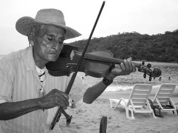 Identidad musical con la tradición del Son Huasteco: CECAP