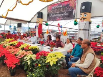 Impulsan en Congreso de Puebla temporada de flor de Nochebuena, en el municipio de Atlixco