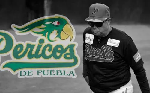 ¡Adiós Pericos! Se queda Puebla sin béisbol profesional