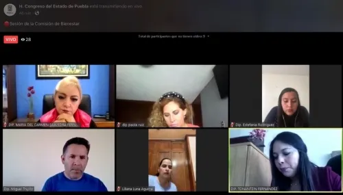 Diputados aprueban exhorto a municipios garantizar los derechos básicos de la población